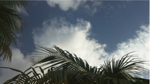 wpid-100_0710-2012-04-4-17-19.jpg
