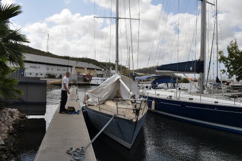 DSC_0248.JPG image