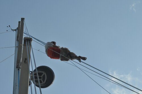 DSC_0276.JPG image