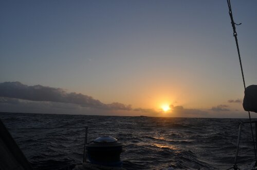 DSC_0289.JPG image