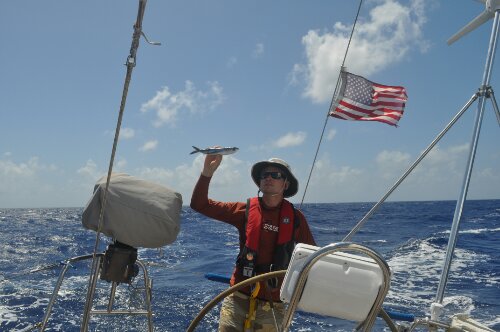 DSC_0297.JPG image