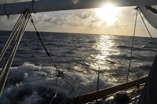 DSC_0303.JPG image