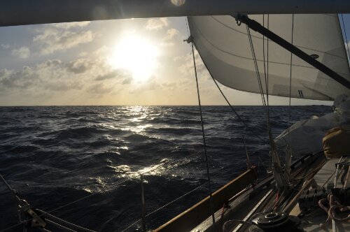 DSC_0308.JPG image