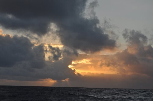 DSC_0317.JPG image
