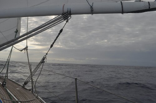 DSC_0321.JPG image
