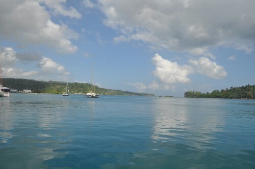 DSC_0332.JPG image