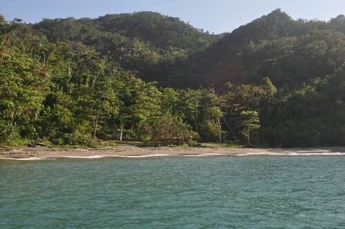 DSC_0365.JPG image
