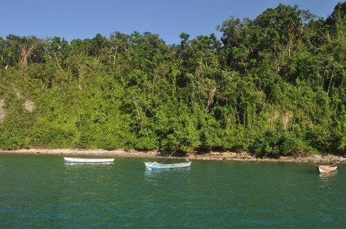 DSC_0367.JPG image