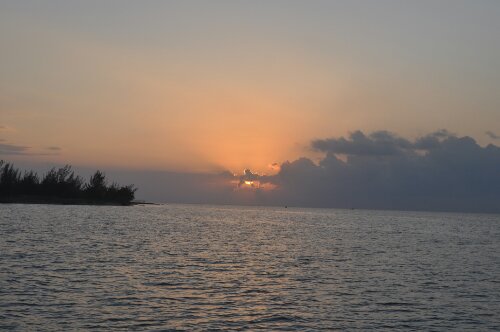DSC_0380.JPG image