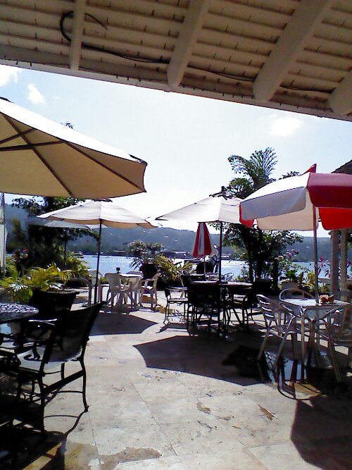 IMG_20130411_133204.jpg image