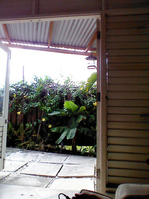 IMG_20130416_133410.jpg image