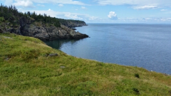 wp-1408452884890 image
