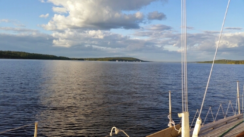 wp-1409097301186 image